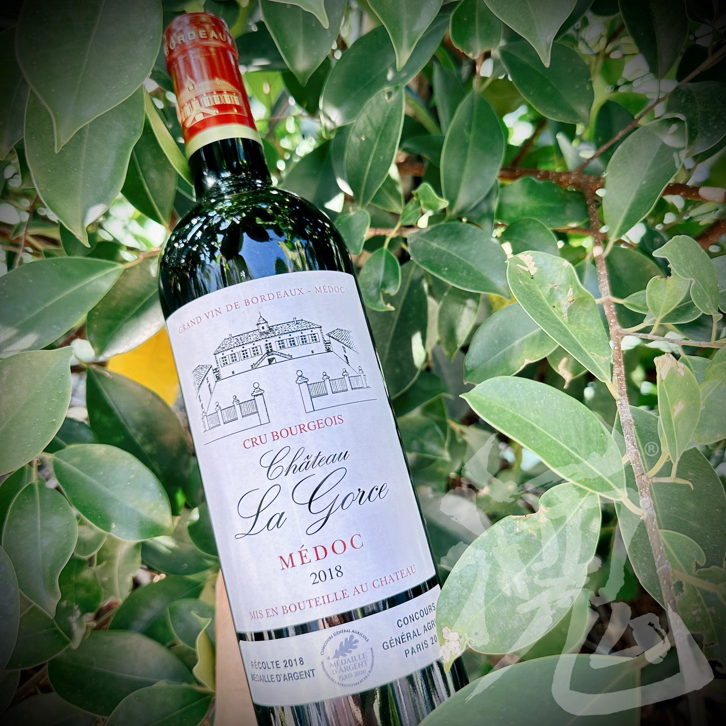 Chateau La Gorce Medoc Cru Bourgeois