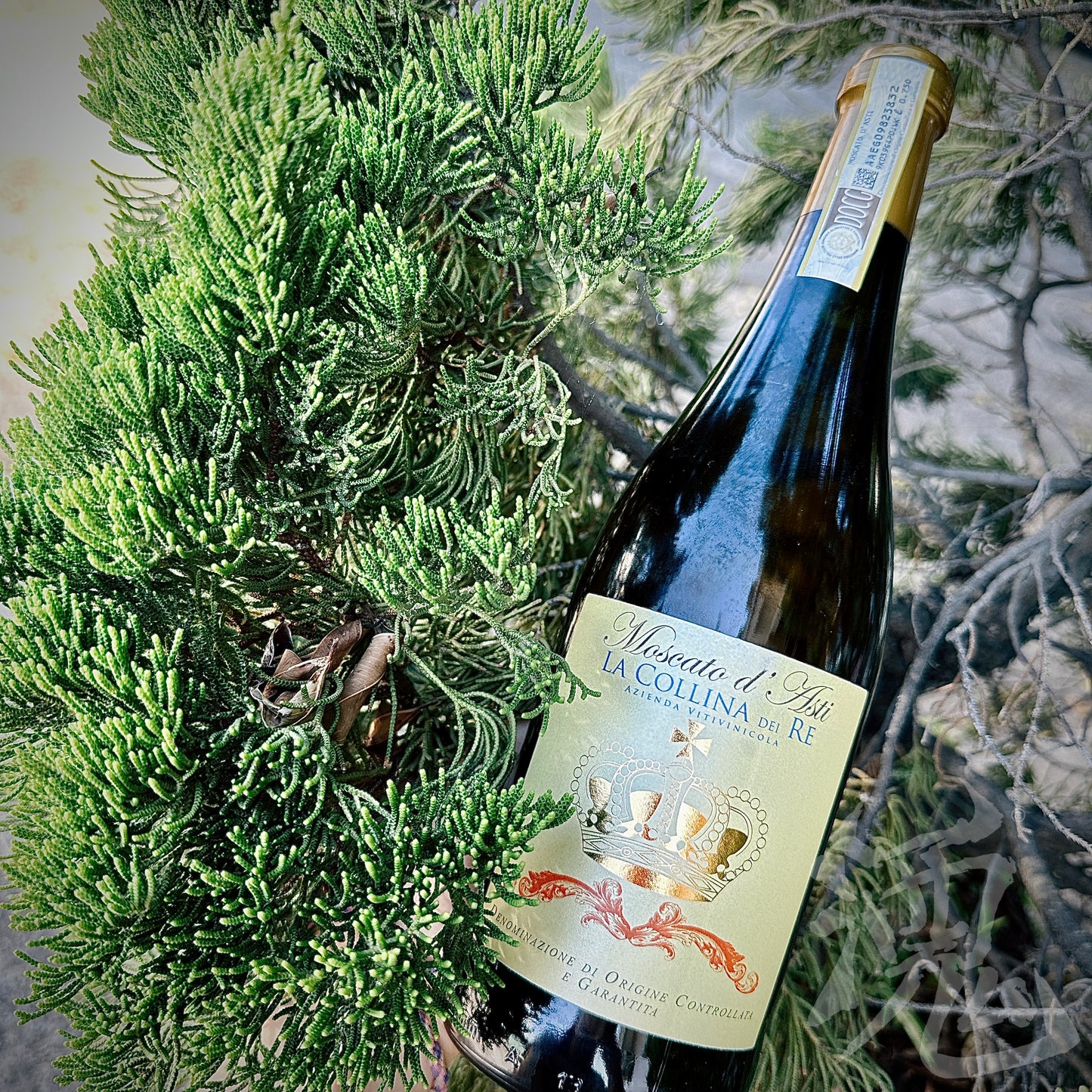 LA COLLINA DEI RE Moscato D'Asti 2012